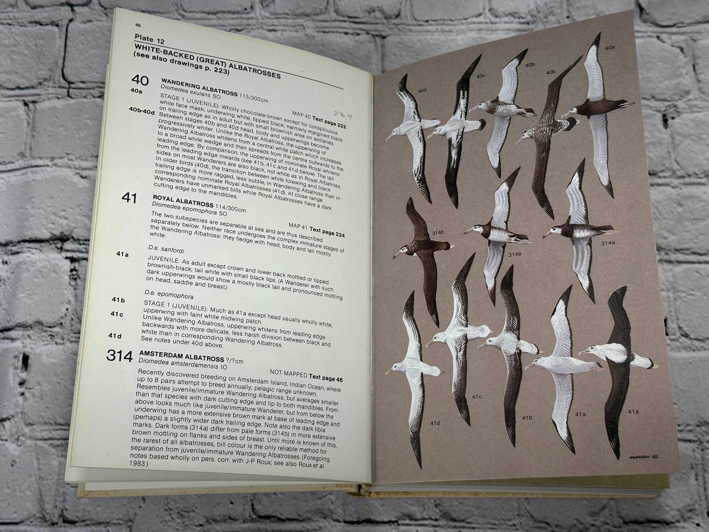 Seabirds An Identification Guide by Peter Harrison  [SIGNED · Revised · 1985]