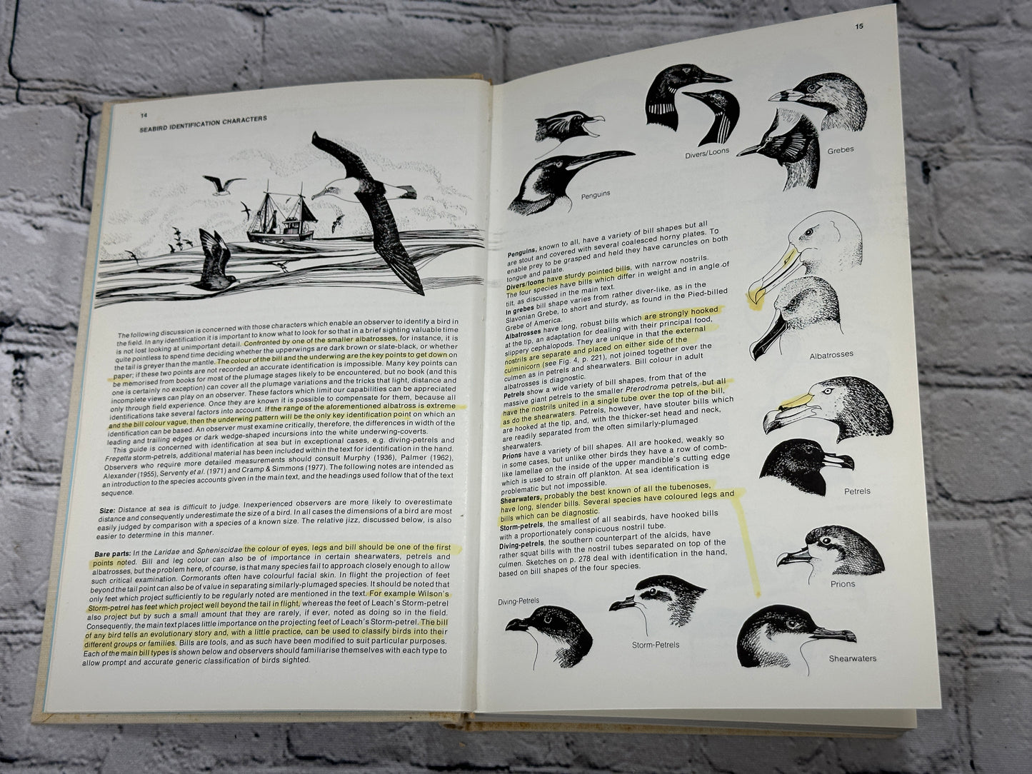 Seabirds An Identification Guide by Peter Harrison  [SIGNED · Revised · 1985]