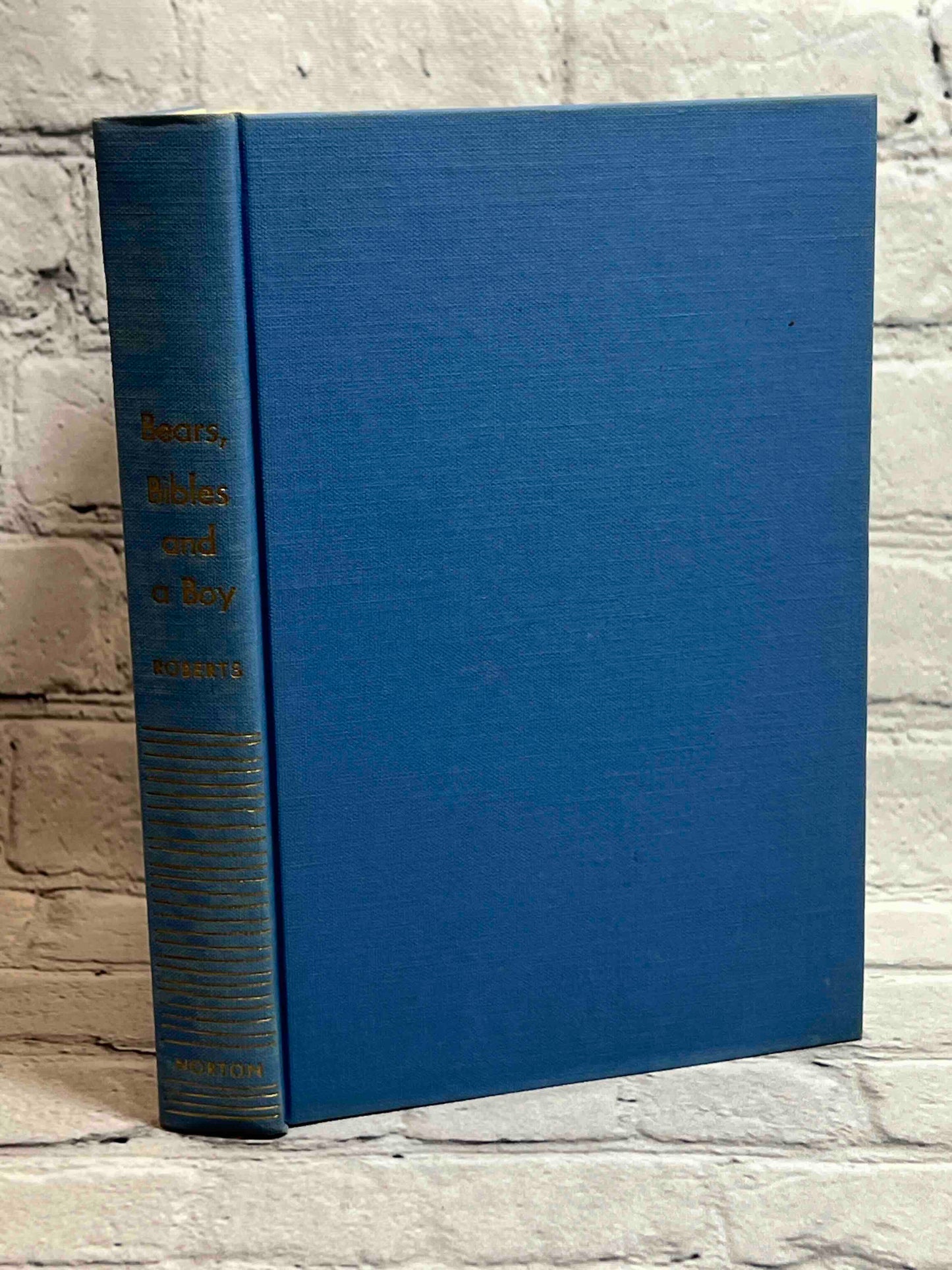Bears, Bibles, and a Boy: Memories of the Adirondacks