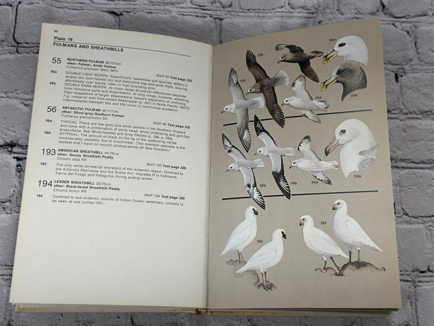 Seabirds An Identification Guide by Peter Harrison  [SIGNED · Revised · 1985]