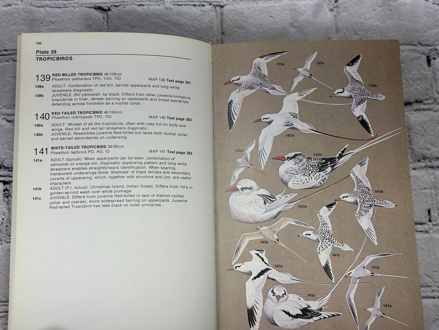 Seabirds An Identification Guide by Peter Harrison  [SIGNED · Revised · 1985]