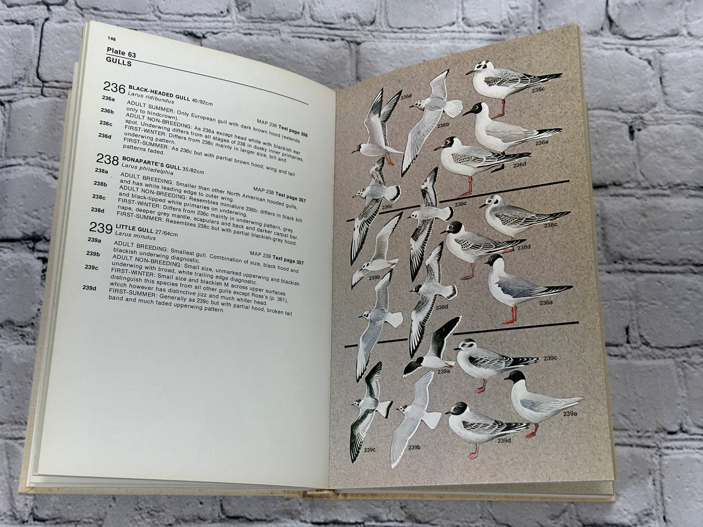 Seabirds An Identification Guide by Peter Harrison  [SIGNED · Revised · 1985]