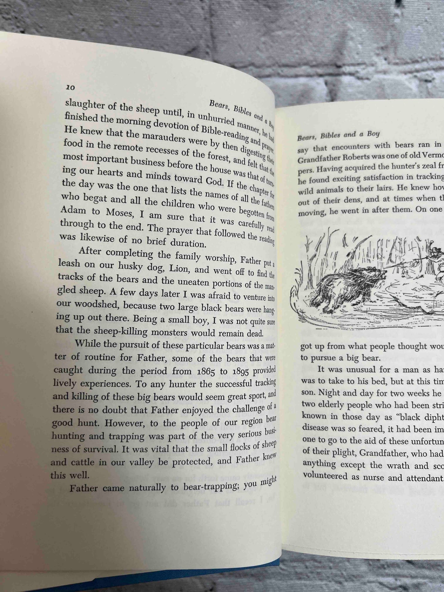 Bears, Bibles, and a Boy: Memories of the Adirondacks