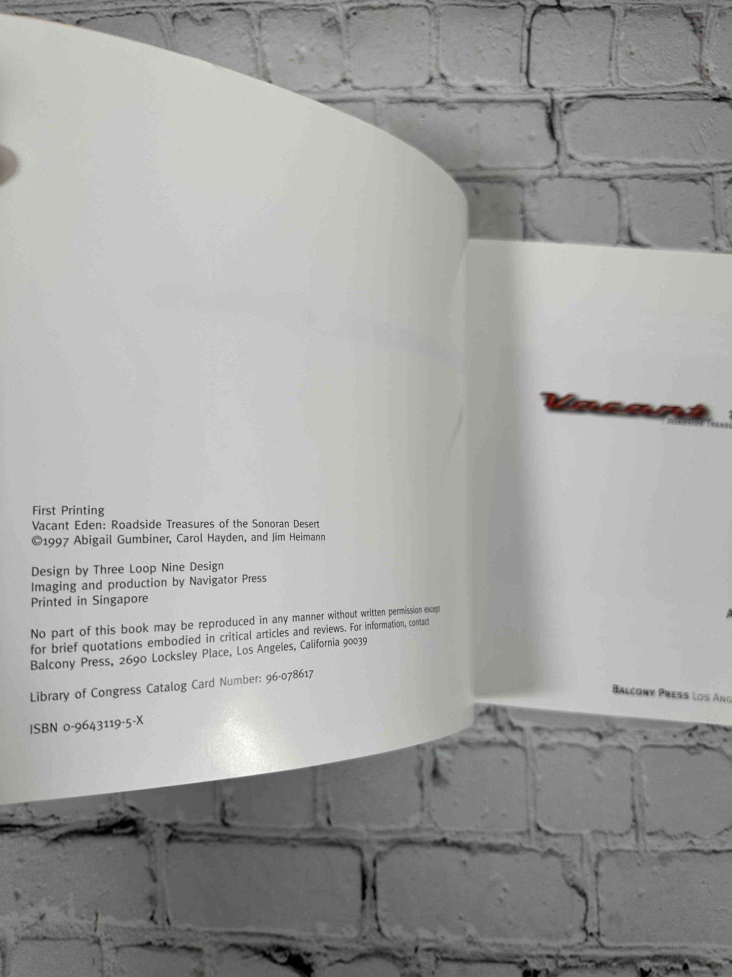 Vacant Eden: Roadside Treasures of the Sonoran Desert