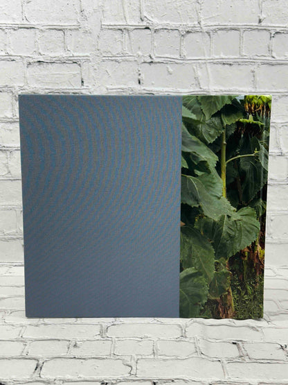 Sheron Rupp: Taken From Memory