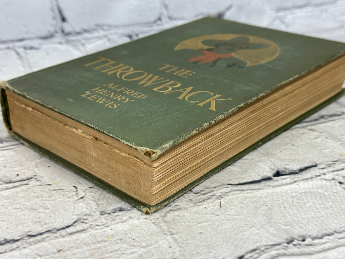 The Throwback by Alfred Henry Lewis  [1906 · First Edition]