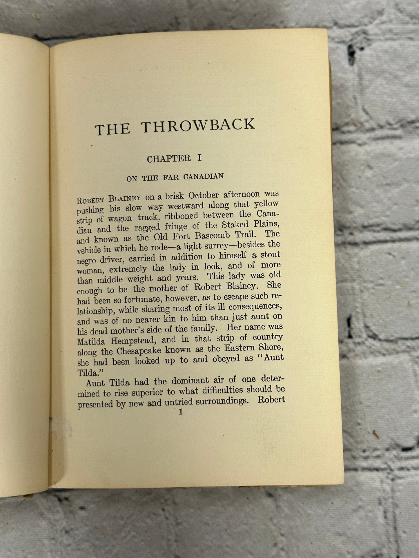 The Throwback by Alfred Henry Lewis  [1906 · First Edition]