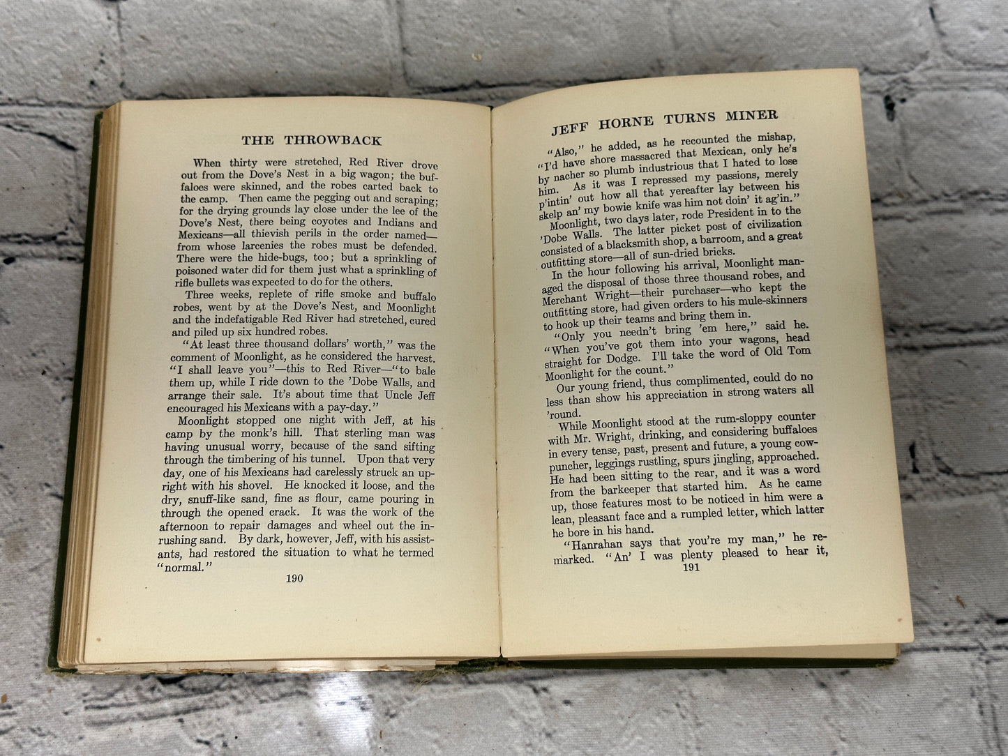 The Throwback by Alfred Henry Lewis  [1906 · First Edition]