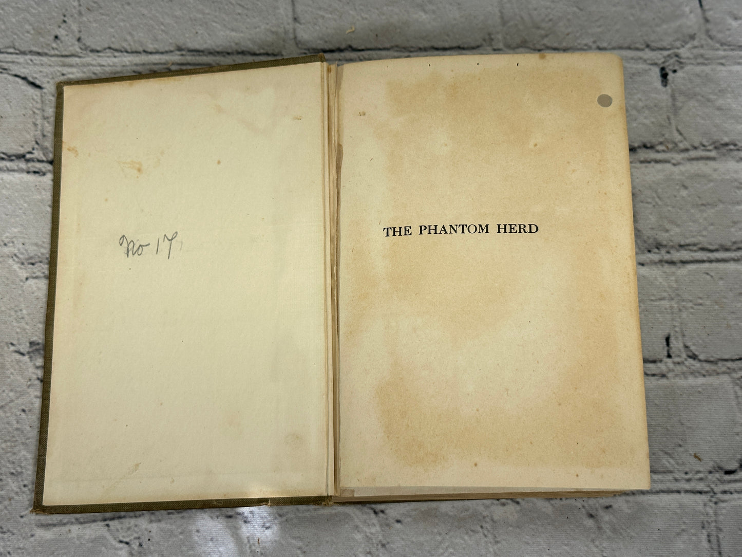 The Phantom Herd by B.M. Bower[1916]