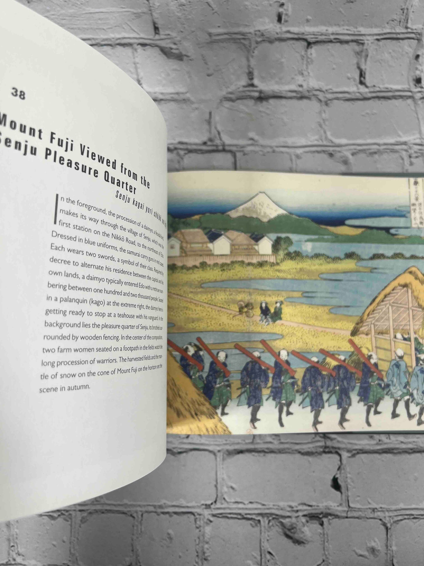 Hokusai's Mount Fuji: The Complete Views in Color