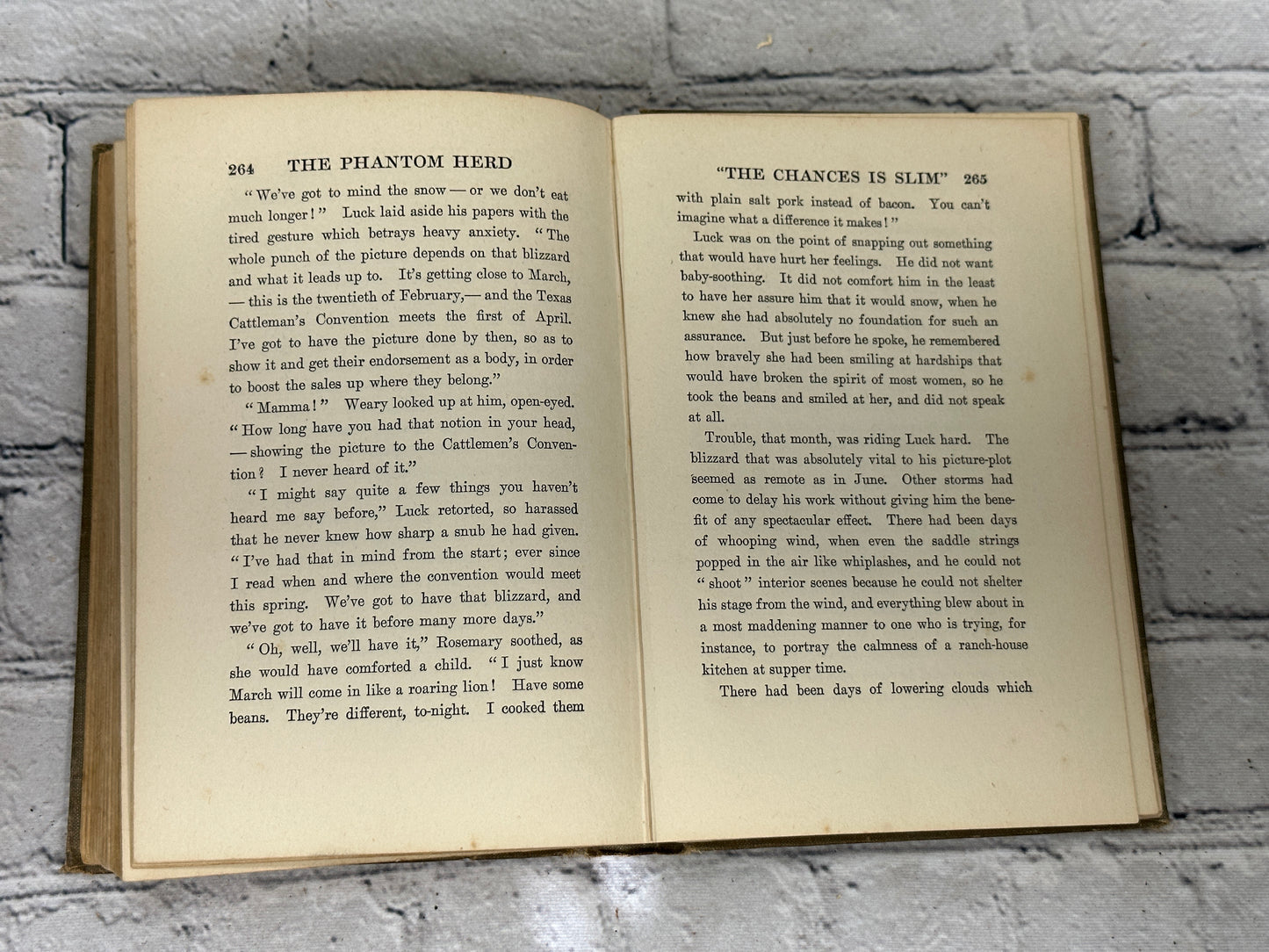 The Phantom Herd by B.M. Bower[1916]