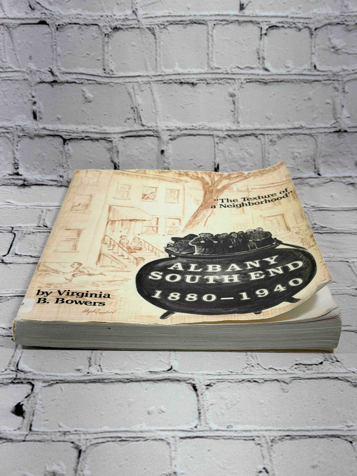 The Texture of a Neighborhood: Albany's South End 1880-1940 by Virginia B. Bowers, 1991 paperback - front cover, angled view