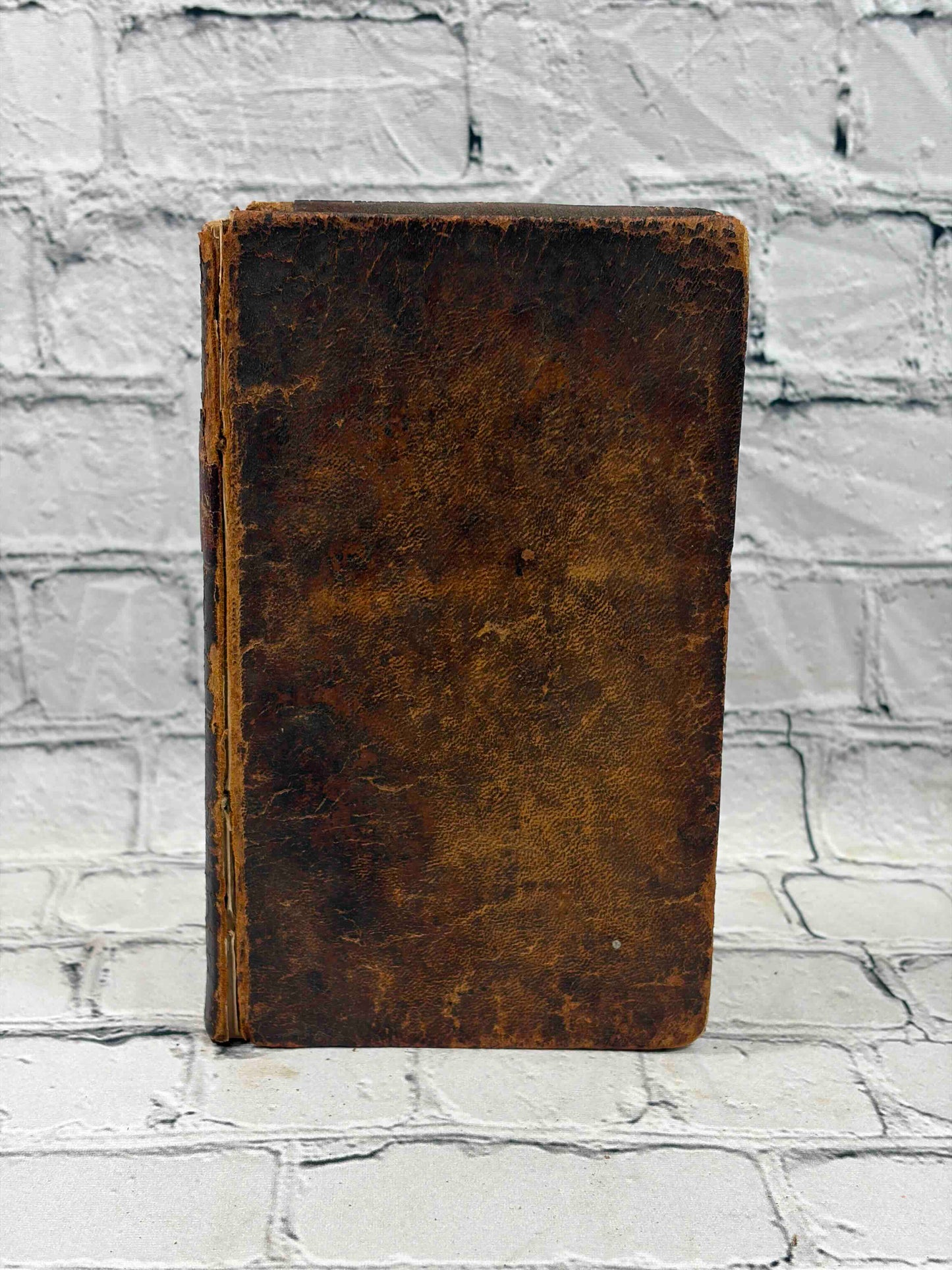 Merriam's American Reader