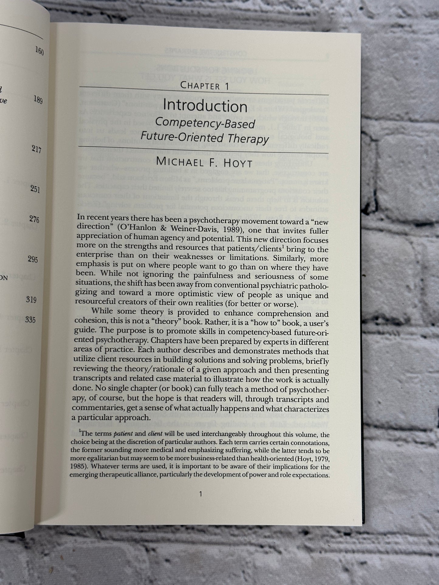 Constructive Therapies edited by Michael F. Hoyt [1994 · First Printing]