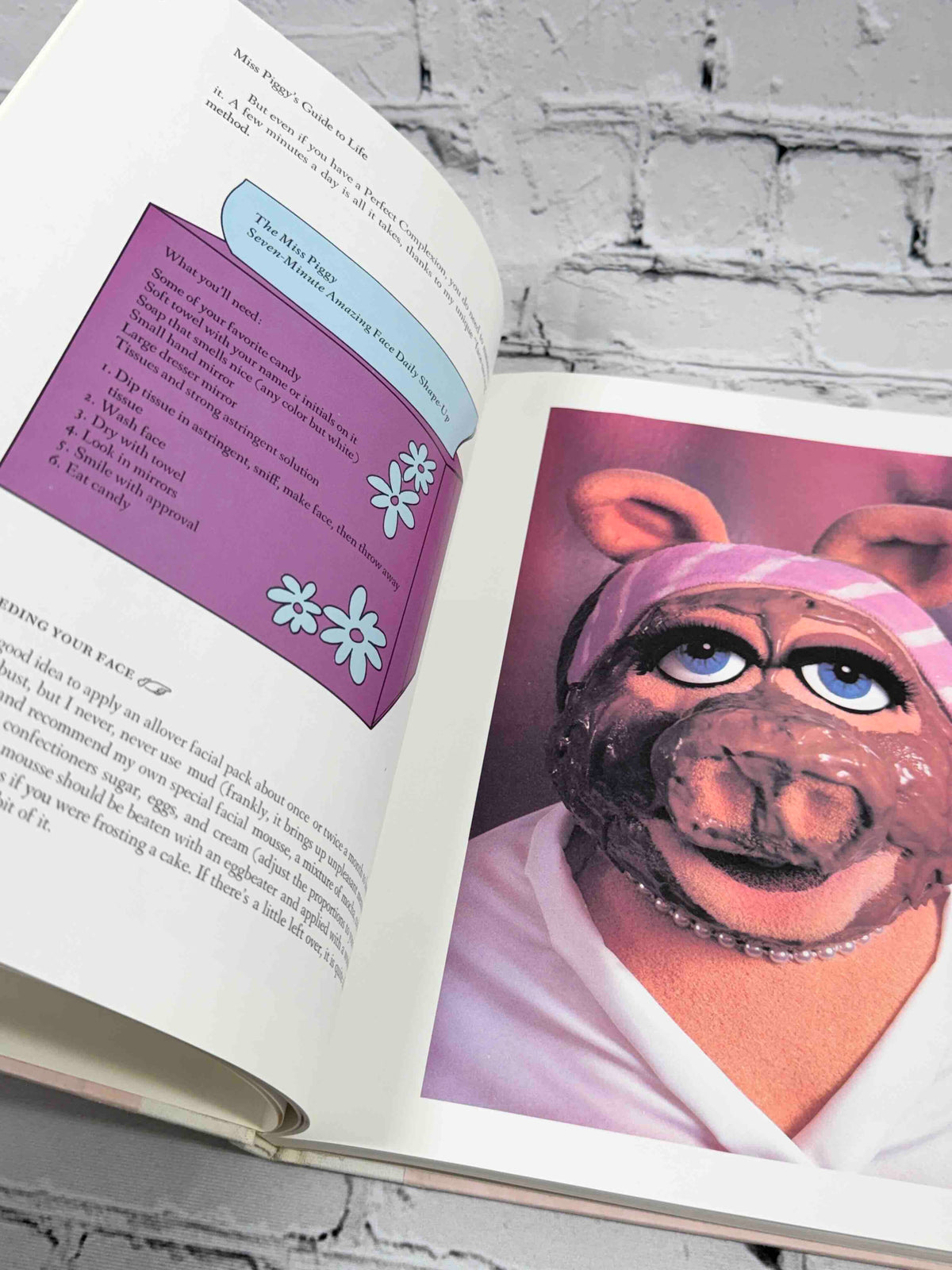 Miss Piggy's Guide to Life, 1981 Knopf hardcover - interior color photograph