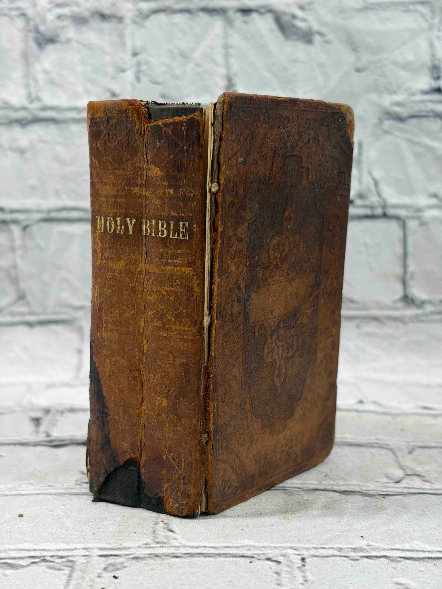 The Holy Bible Old & New Testaments Translated from Original Tongues
