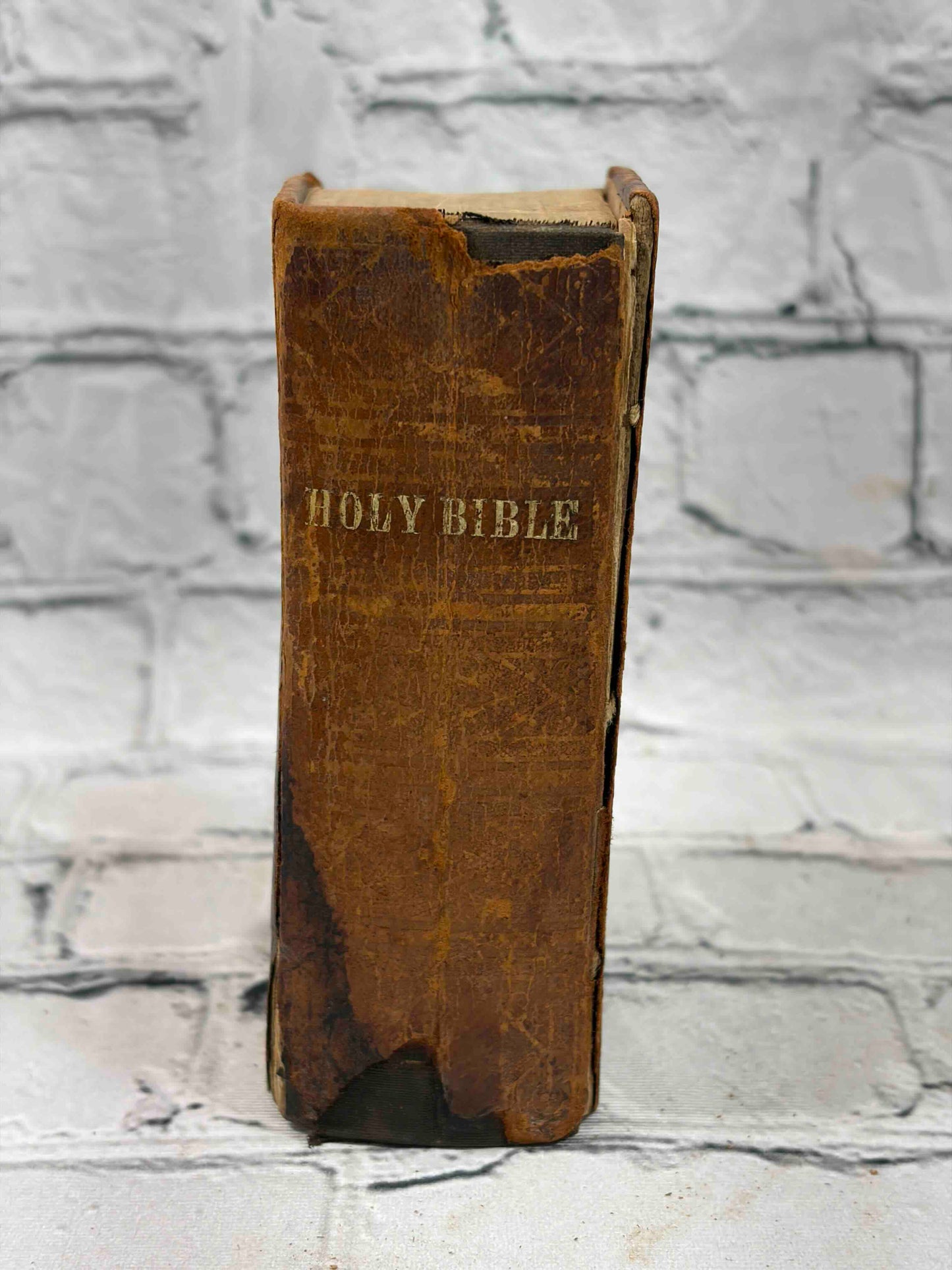The Holy Bible Old & New Testaments Translated from Original Tongues