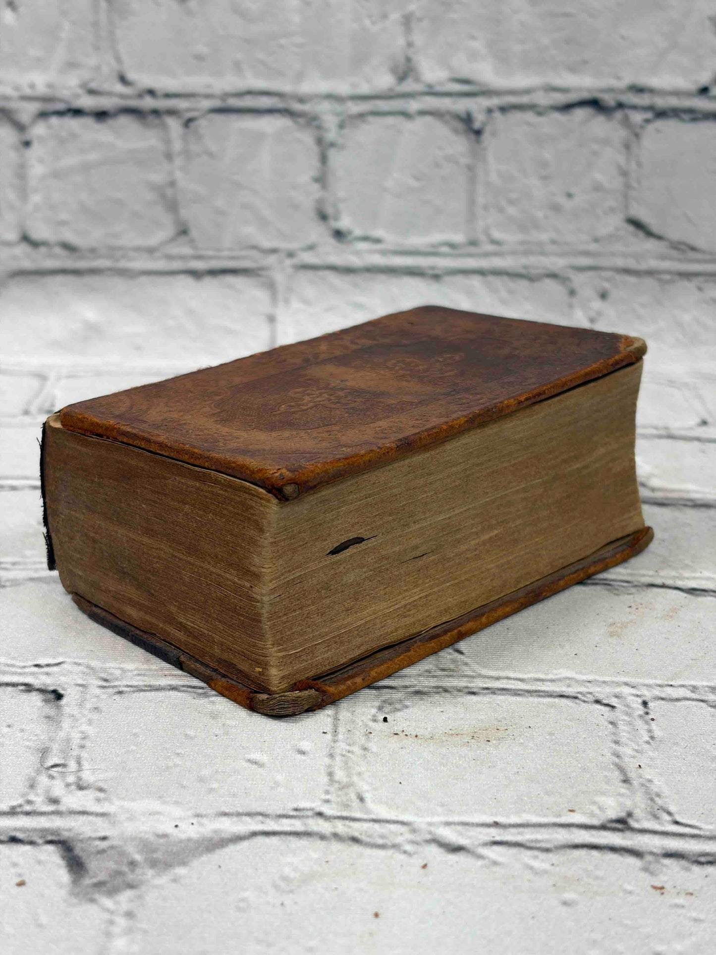 The Holy Bible Old & New Testaments Translated from Original Tongues