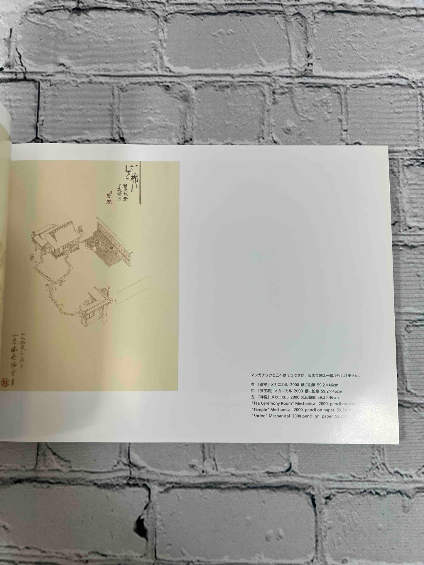 The Art Of Akira Yamaguchi (English and Japanese Edition)
