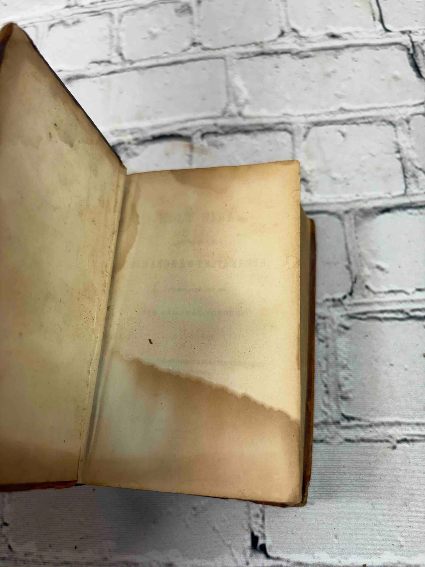 The Holy Bible Old & New Testaments Translated from Original Tongues