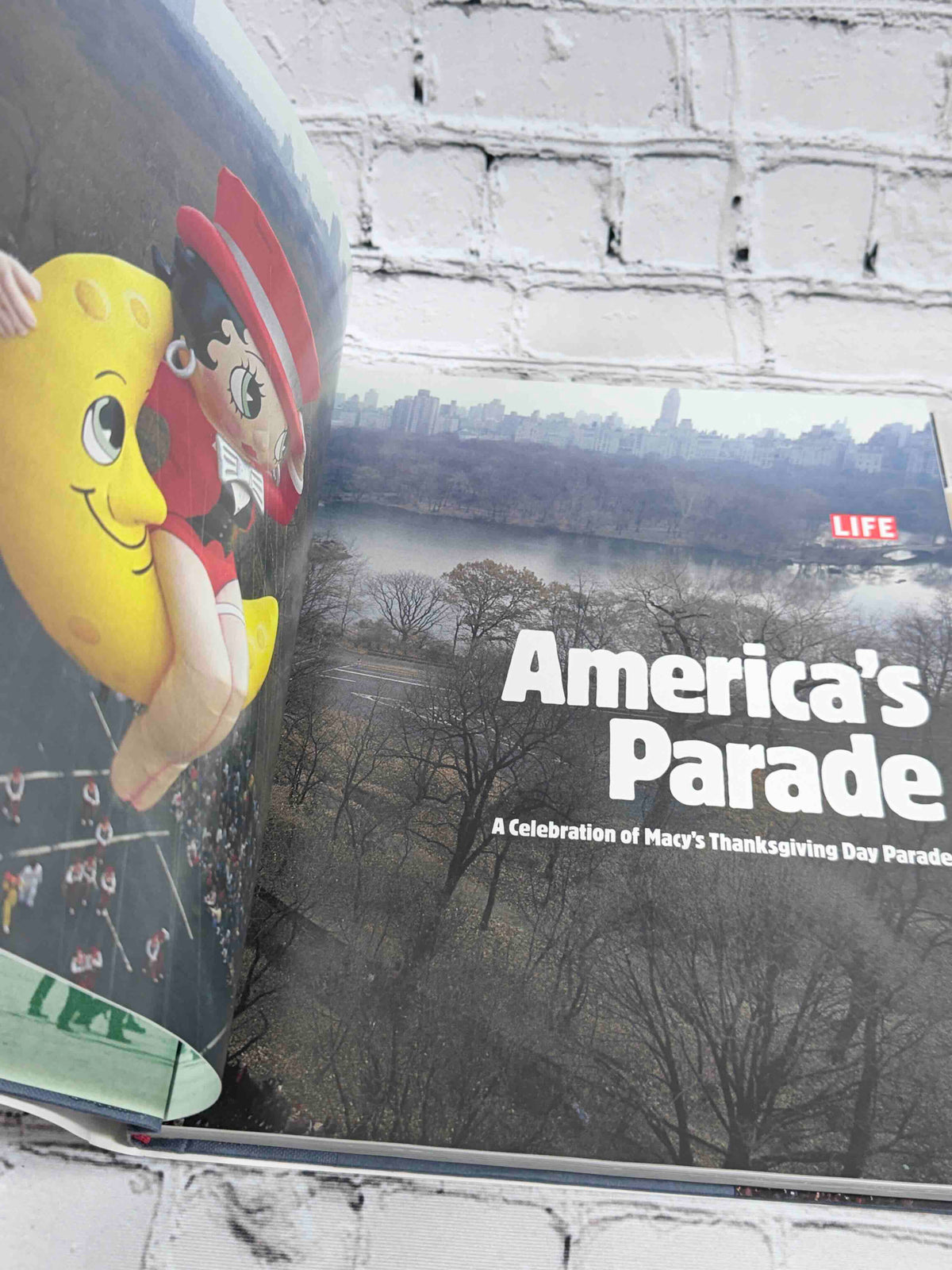 LIFE America's Parade, 2001 hardcover - title page