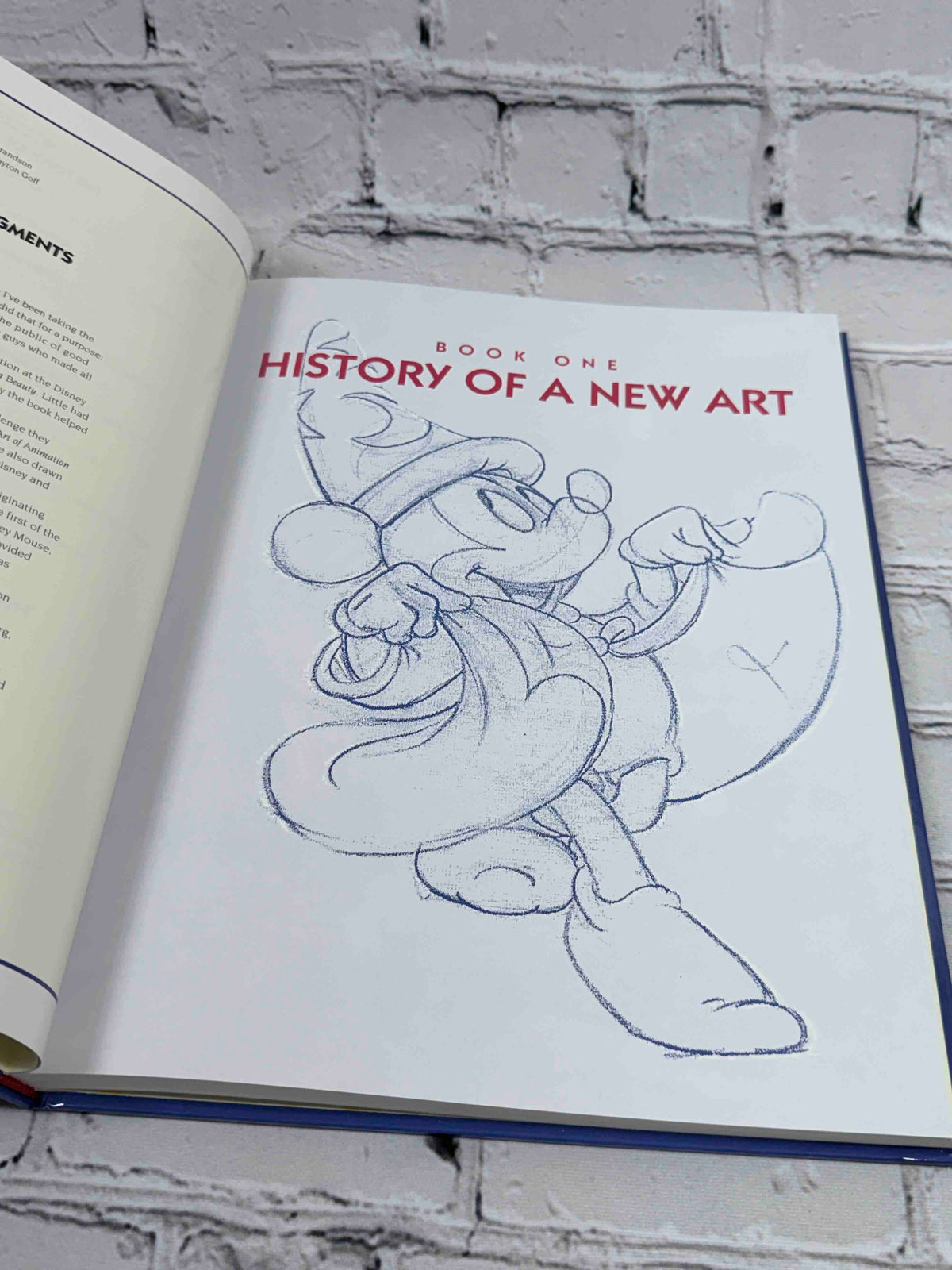 Disney's Art of Animation by Bob Thomas, 1991 Hyperion hardcover - Book One opening