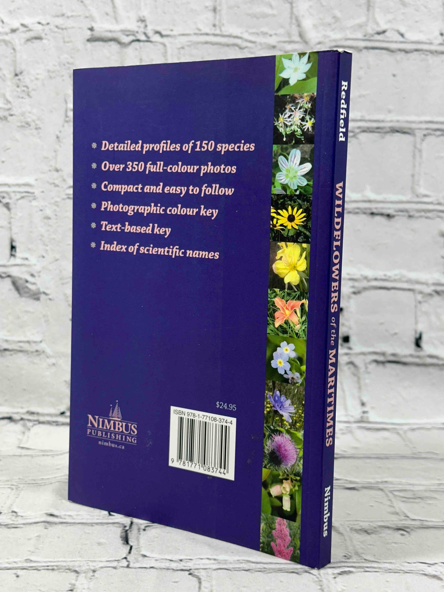Wildflowers of the Maritimes