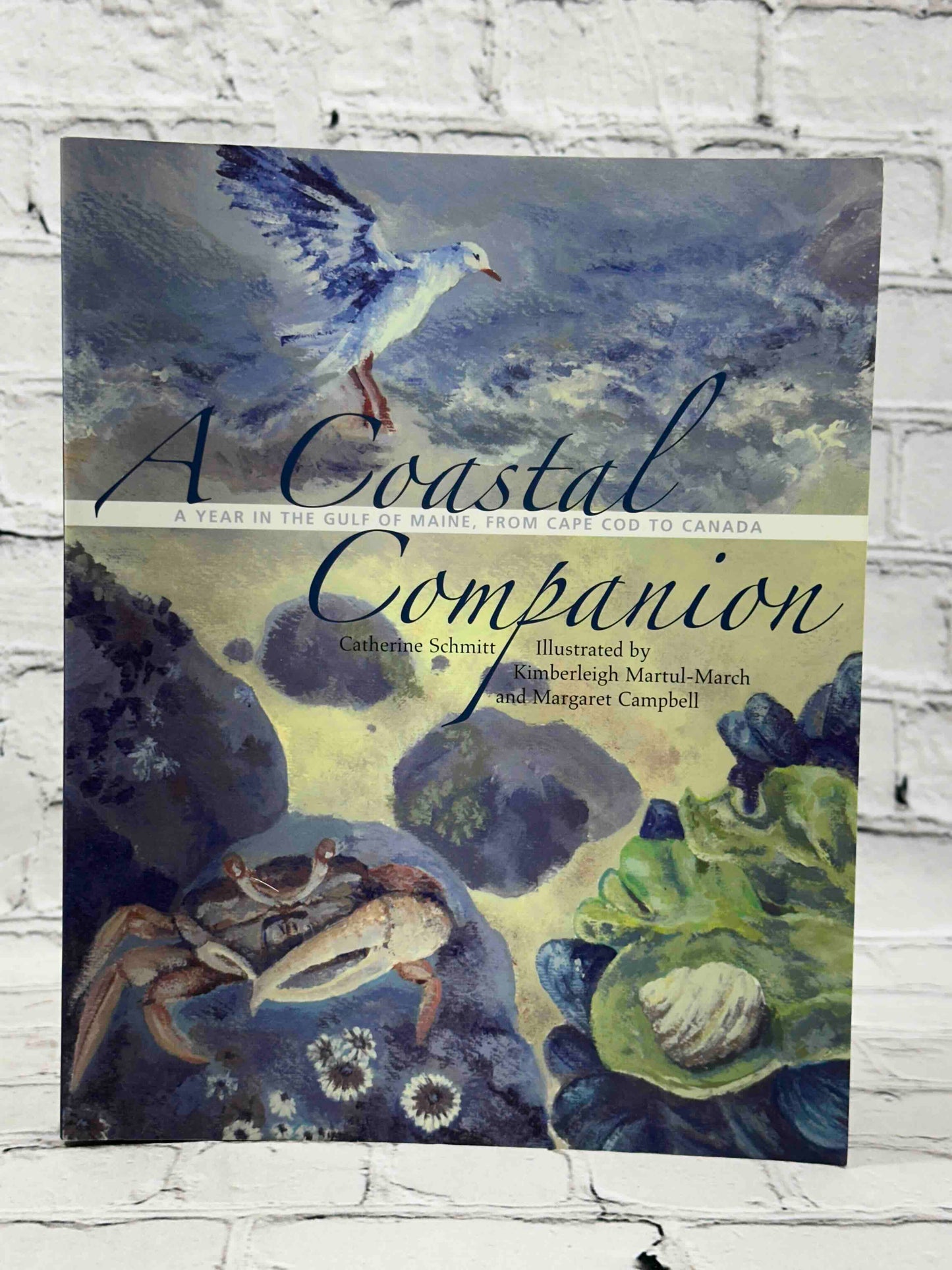A Coastal Companion: A Year in the Gulf of Maine, from Cape Cod to Canada