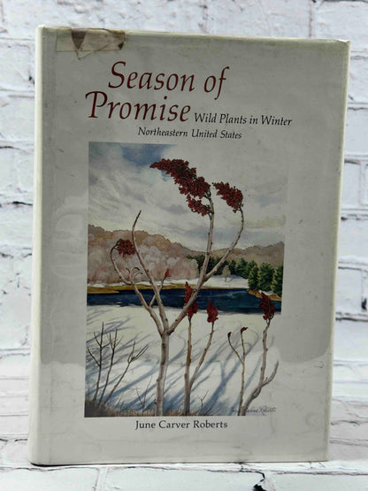 Season of Promise: Wild Plants In Winter, Northeastern United States