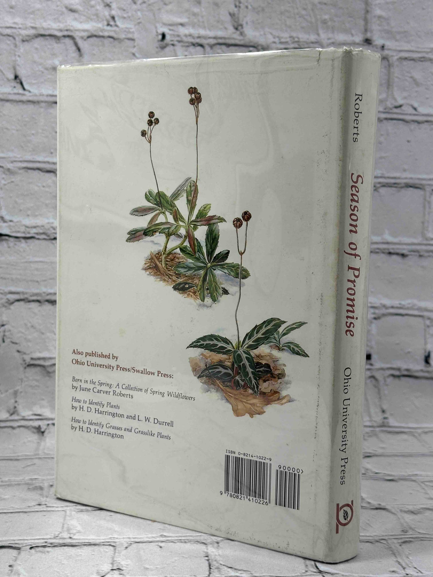Season of Promise: Wild Plants In Winter, Northeastern United States