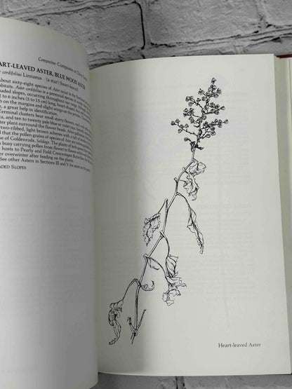 Season of Promise: Wild Plants In Winter, Northeastern United States