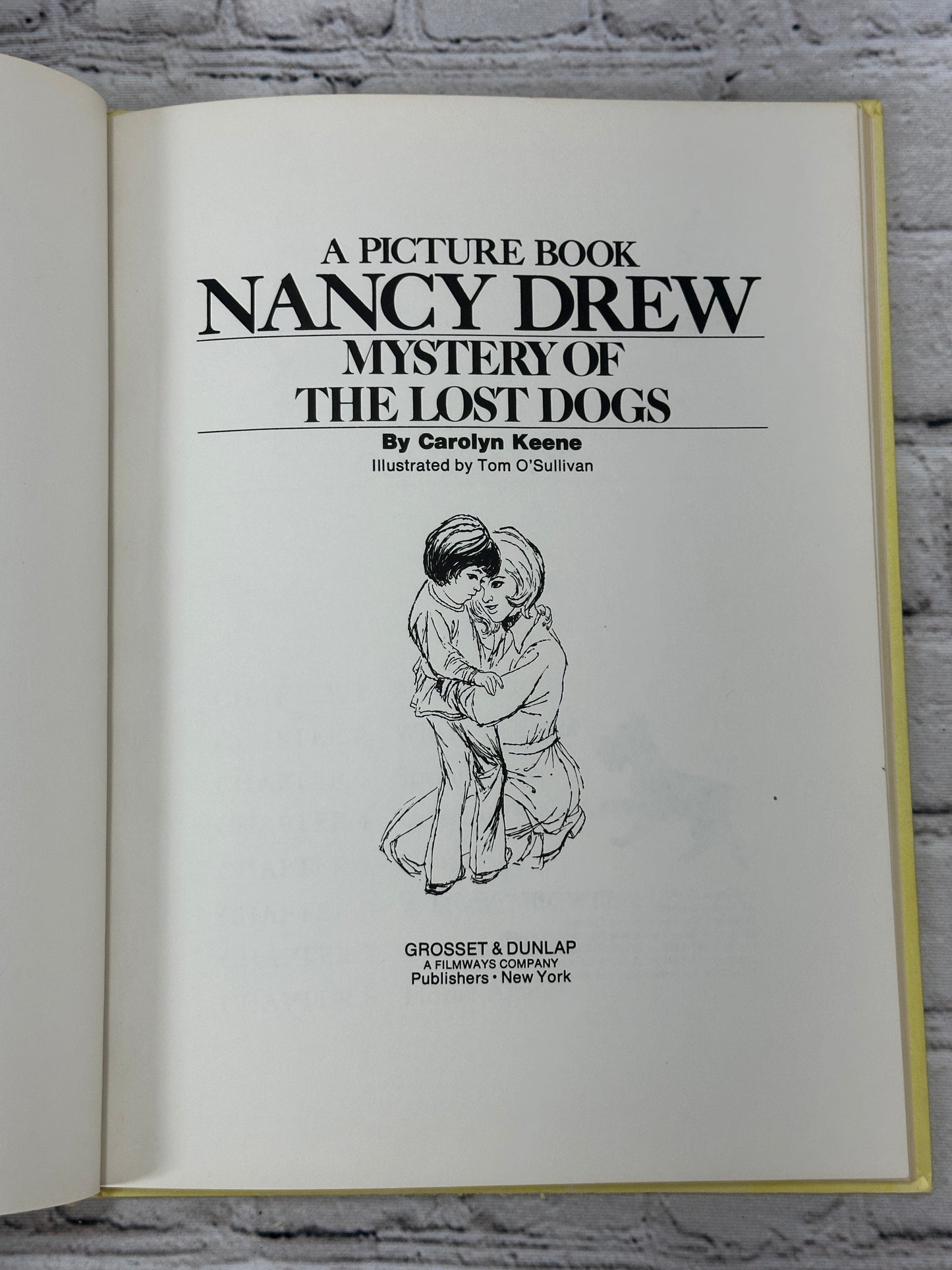 A Picture Book of Nancy Drew: The Mystery of the Lost dogs [Volume 1 · 1977]