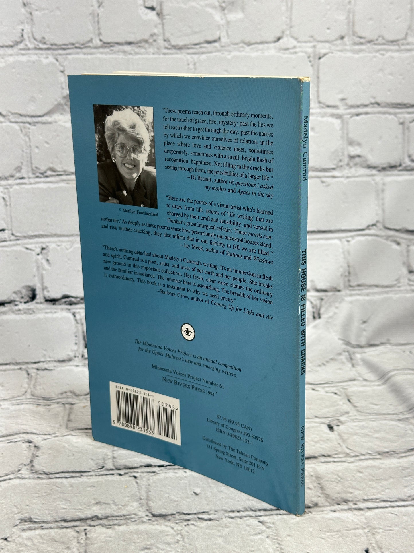 This House Is Filled With Cracks By Madelyn Camrud [Minnesota Voices 61 · 1994]