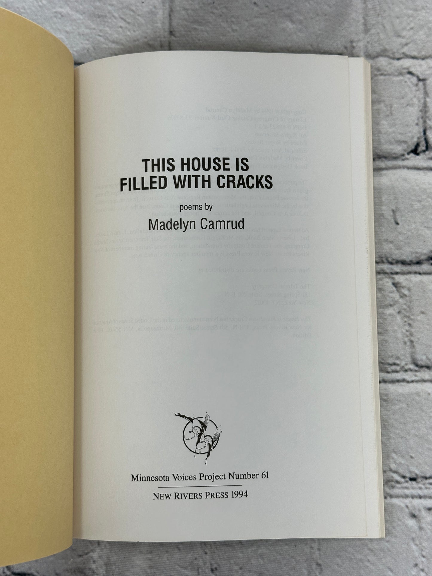 This House Is Filled With Cracks By Madelyn Camrud [Minnesota Voices 61 · 1994]