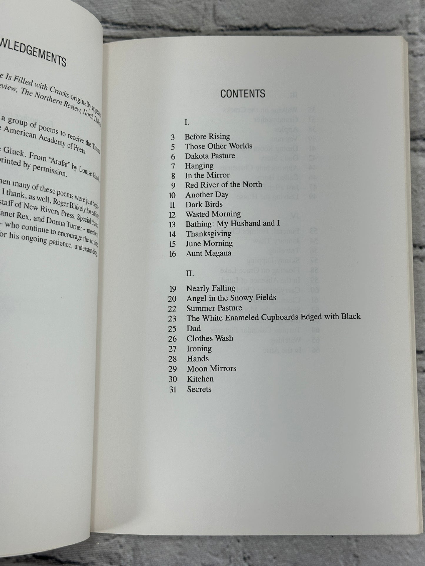 This House Is Filled With Cracks By Madelyn Camrud [Minnesota Voices 61 · 1994]