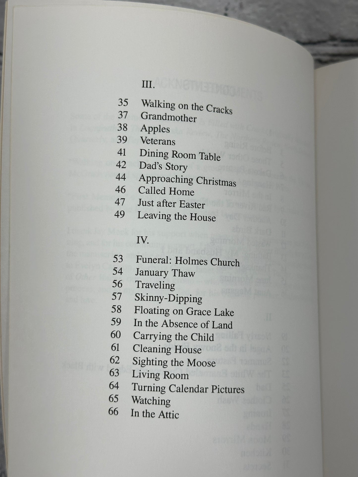 This House Is Filled With Cracks By Madelyn Camrud [Minnesota Voices 61 · 1994]