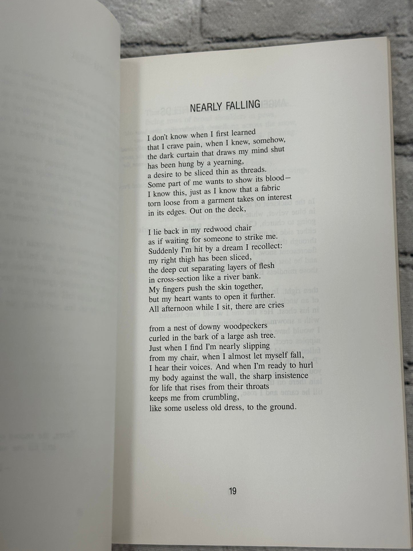 This House Is Filled With Cracks By Madelyn Camrud [Minnesota Voices 61 · 1994]