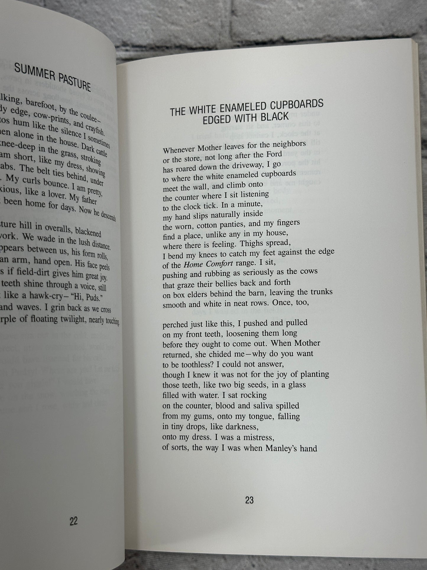 This House Is Filled With Cracks By Madelyn Camrud [Minnesota Voices 61 · 1994]