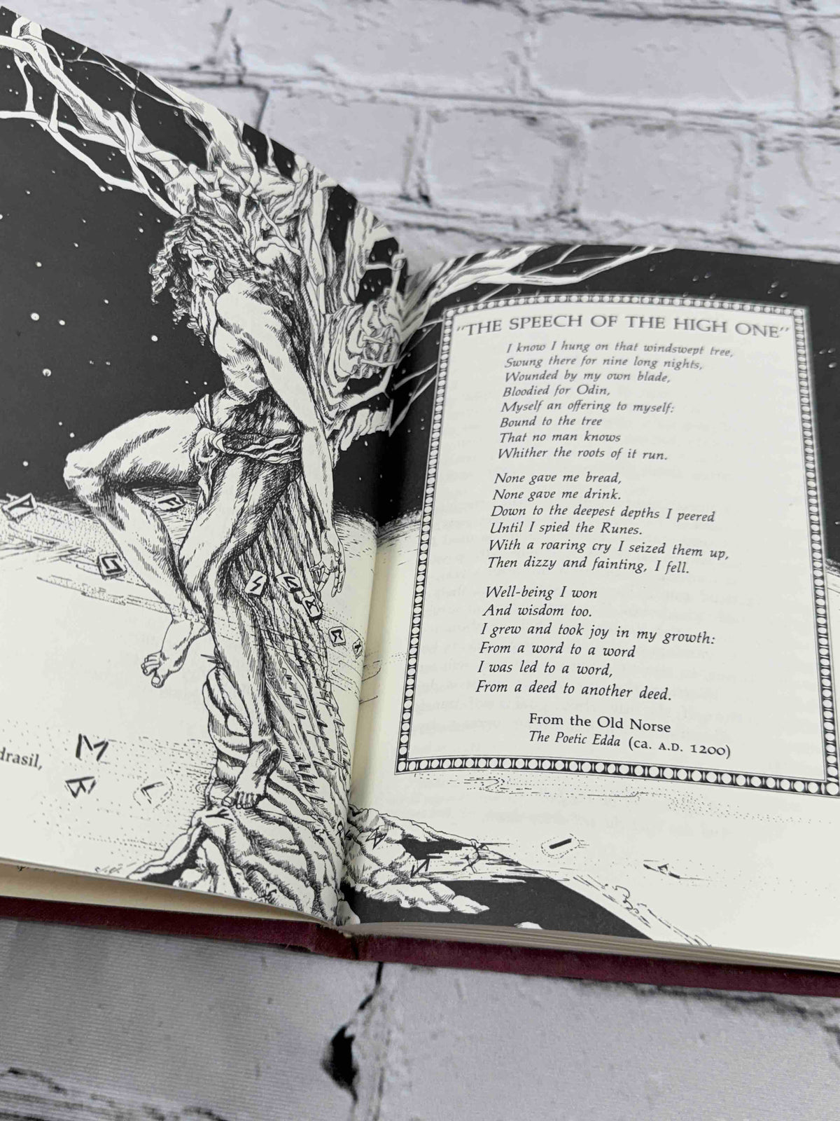 The Book of Runes by Ralph Blum, St. Martin's Press hardcover - illustration