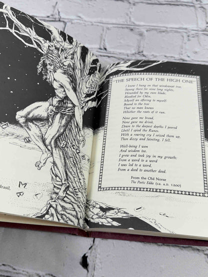The Book of Runes by Ralph Blum, St. Martin's Press hardcover - illustration