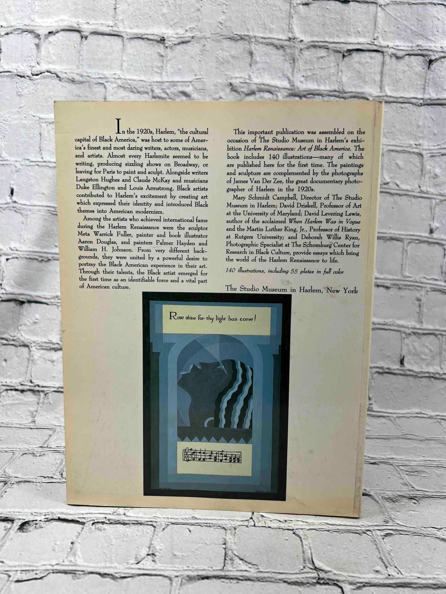 Harlem Renaissance: Art of Black America