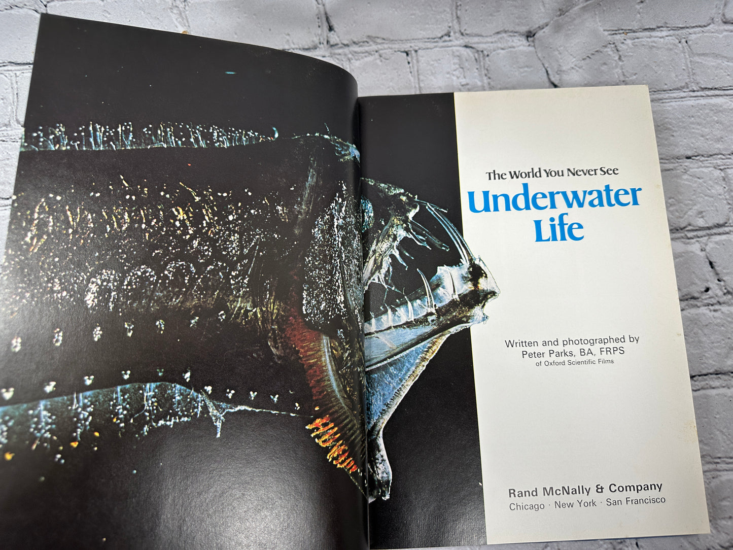 World You Never See Underwater Life by Parks, Peter. Book [1976]