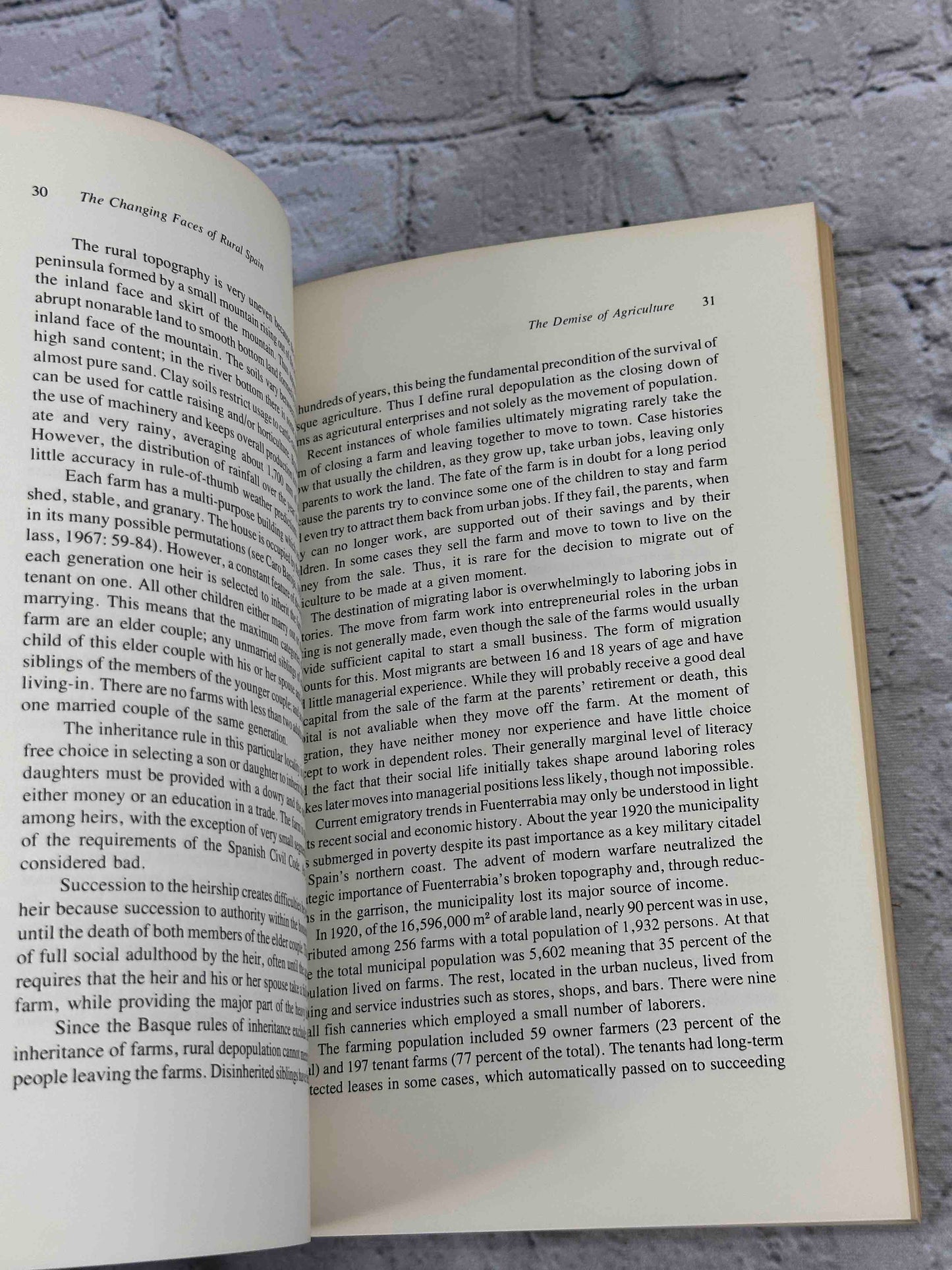 The Changing Face of Rural Spain