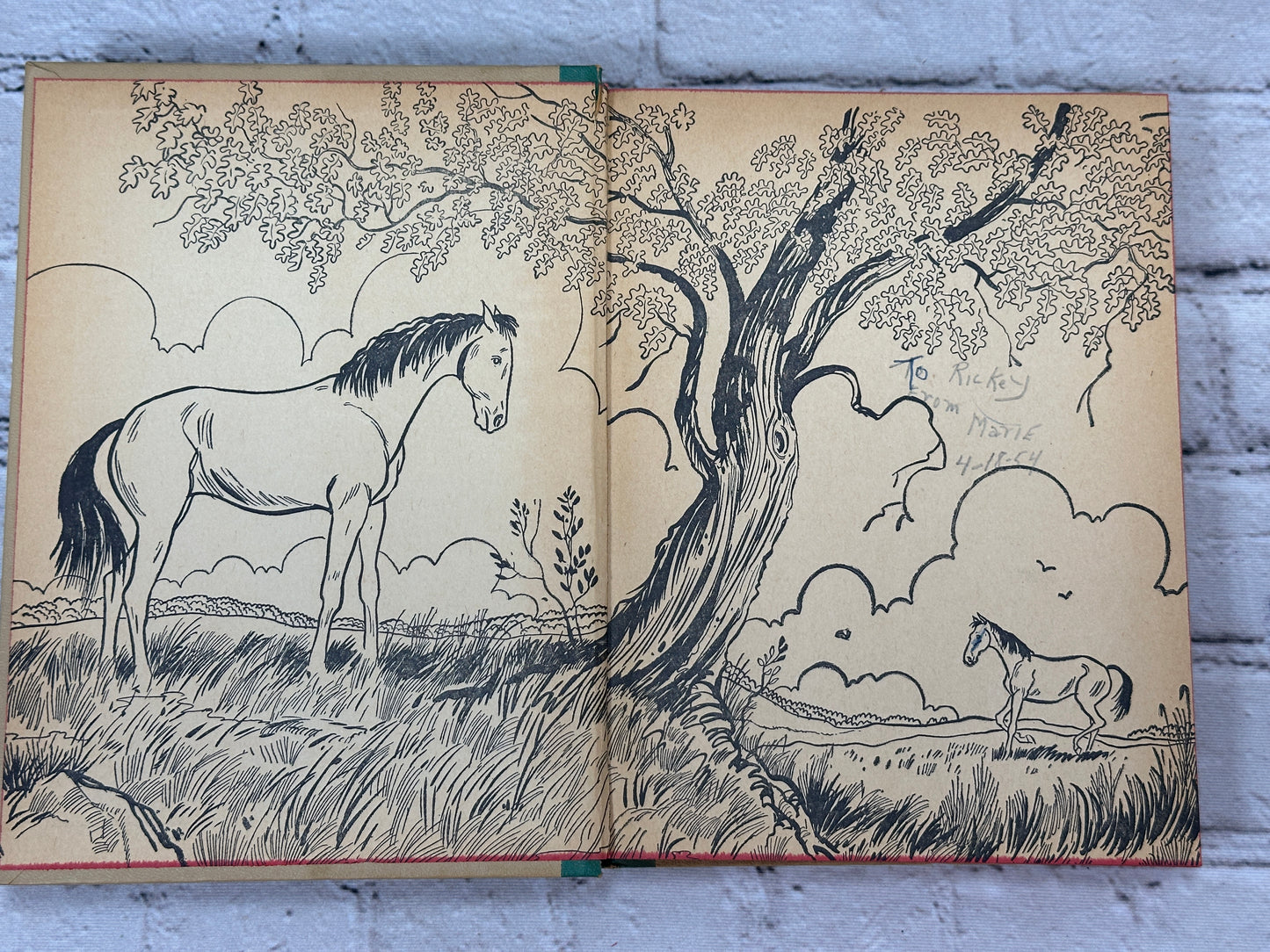 Black Beauty by Anna Sewell [Whitman Classic · 2138 · 1951]