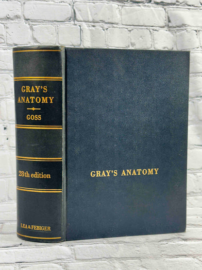 Gray's Anatomy (28th Edition)