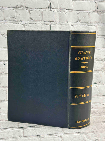 Gray's Anatomy (28th Edition)