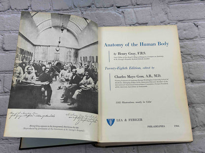 Gray's Anatomy (28th Edition)