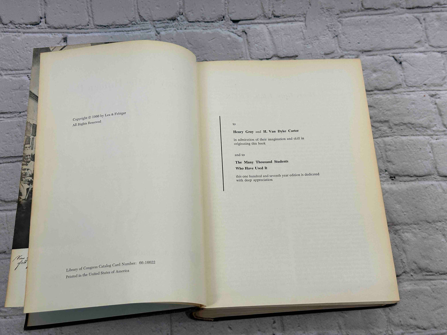 Gray's Anatomy (28th Edition)