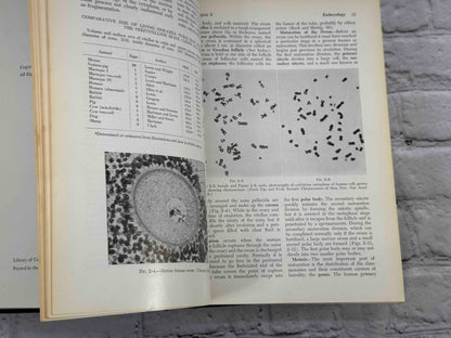 Gray's Anatomy (28th Edition)