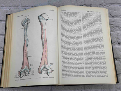 Gray's Anatomy (28th Edition)